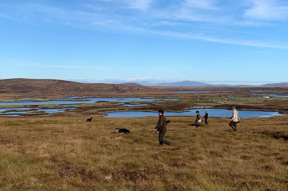 Guns and dogs walking up snipe on the North Uist moor