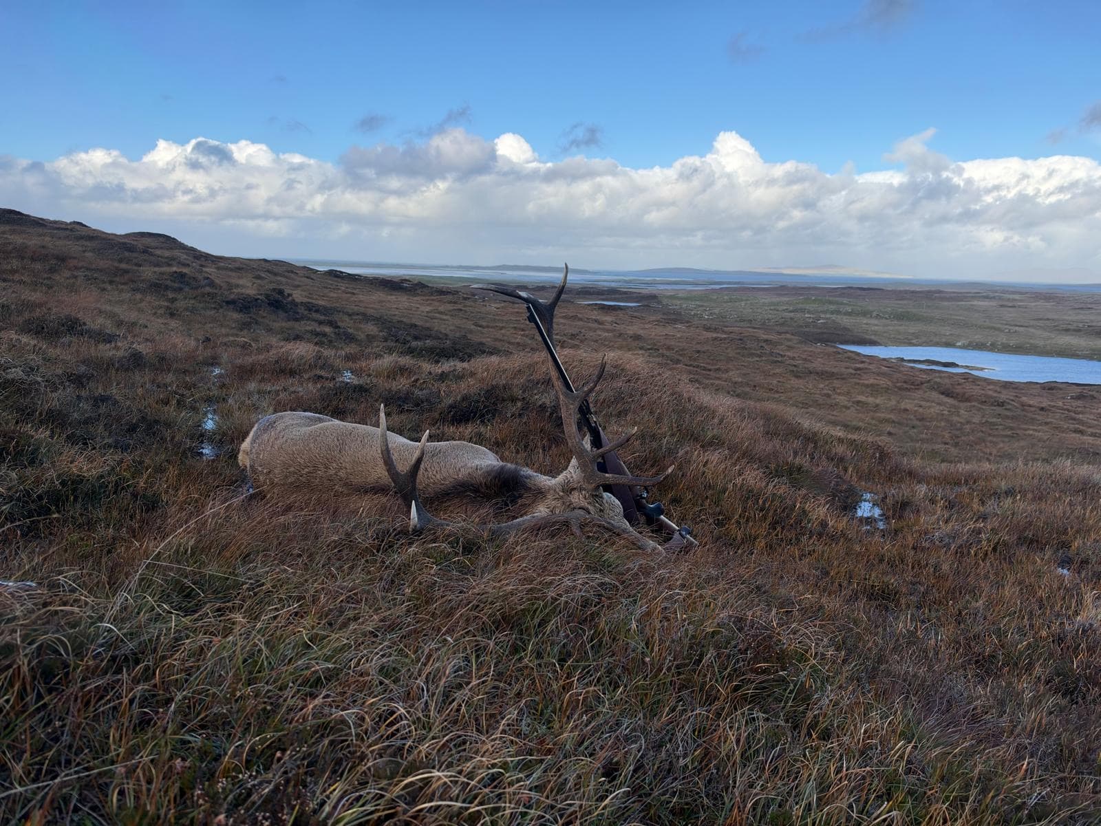 A stag and rifle on the North Uist hill, lochs and the Atlantic beyond
