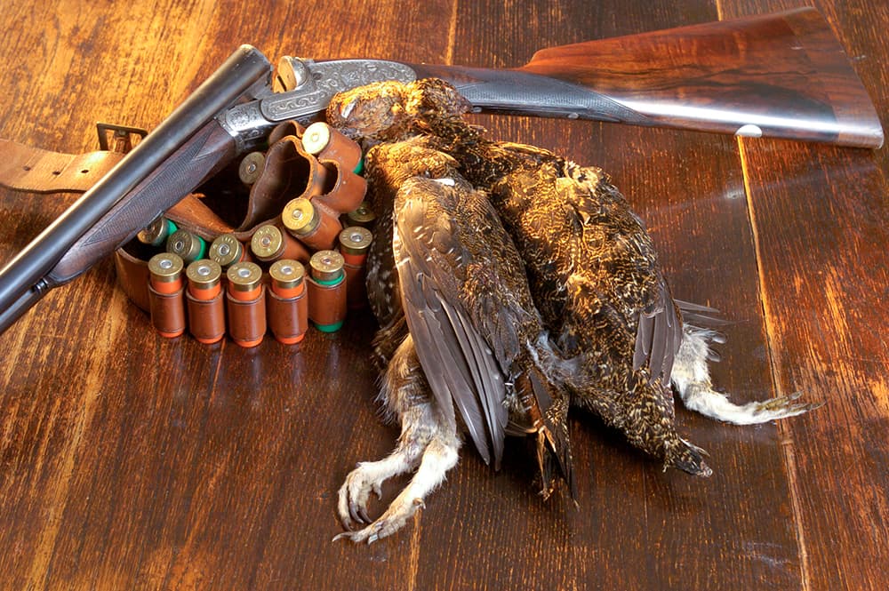 A brace of red grouse beside a side-by-side shotgun and cartridge belt